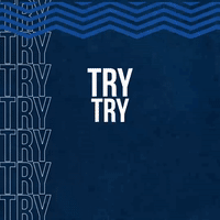 Ted Hill euro try