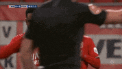 GIF by FOX Sports