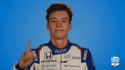 Ntt Indycar Series Sport GIF by INDYCAR