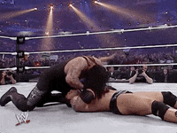 The Undertaker Sport GIF by WWE