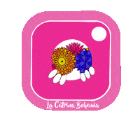 Good Morning Hello Sticker