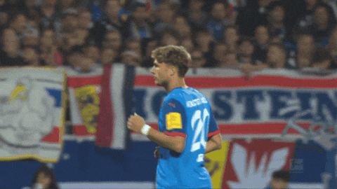 Fiete Arp Bundesliga GIF by Holstein Kiel