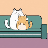 Best Friend Love GIF by MESA My Emotional Support Animal