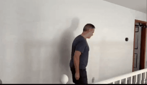 Cellthebadger grantkirkhope grant kirkhope grant kirkhope GIF