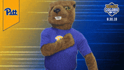 College Sports Mascots GIF by College Colors Day