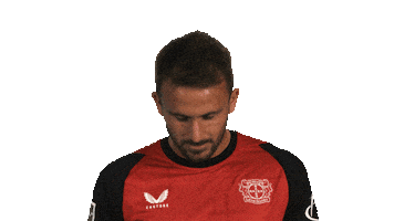 Look Up Bayer Leverkusen Sticker by Bundesliga