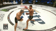 GIF by Bellator