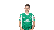 Bundesliga Austria Sticker by SV Werder Bremen