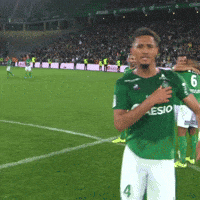 Ligue 1 Sport GIF by AS Saint-Étienne