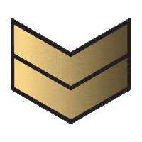 arrow Sticker by Lonbali