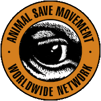 Go Vegan Plant Based Sticker by _AnimalSaveMovement_