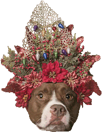 Merry Christmas Dog Sticker by Sophie Gamand