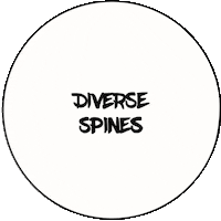 Books Reading Sticker