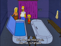 homer simpson GIF