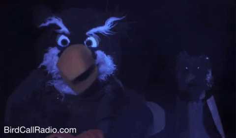 BirdCallRadio owl puppet parody haunted GIF