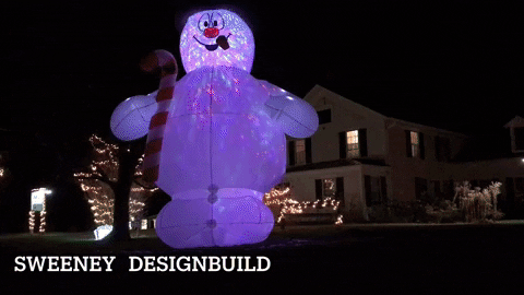 joelbannerbaird giphyupload GIF