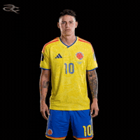Fifa World Cup Colombia GIF by Respective