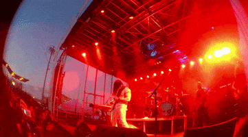 concert burger beach bash GIF by Burger Records