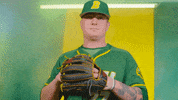 North Dakota State Baseball GIF by NDSU Athletics