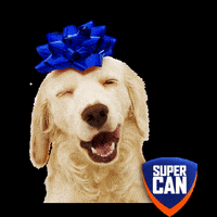 supercan_peru christmas celebracion christmasgift supercan GIF