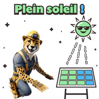 Plein Soleil Sun Sticker by solydari