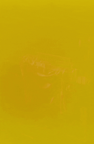 dianesagnier giphyupload GIF