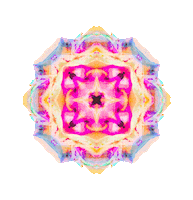 walking on cars logo Sticker