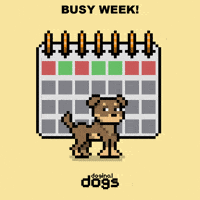 Do It Mood GIF by Doginal Dogs