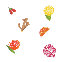 LomeSuperFruit italia puglia superfruit lomé Sticker