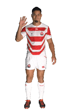 World Rugby Hello Sticker by Rugby World Cup