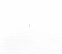 black and white illustration GIF by Eno Swinnen