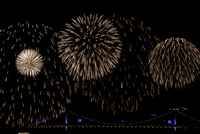Fireworks Diwali GIF