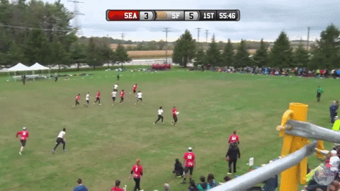 flikulti ultimate frisbee flik GIF