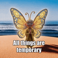 Sand Dune Butterfly GIF by BuddhaFlyJourney