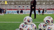 Walk In Entrance GIF by Northern Ireland
