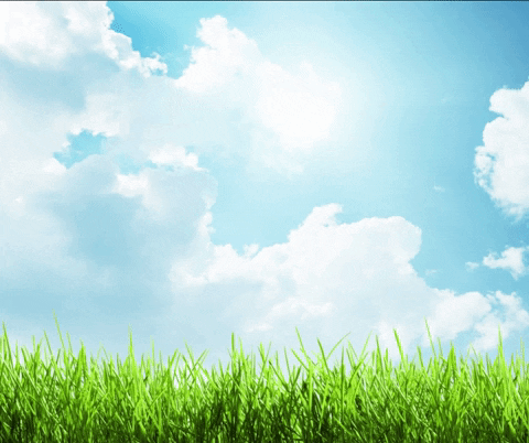 YadahYah giphyupload praise new day yahuah GIF