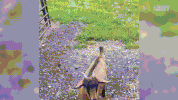 ro Dah GIF