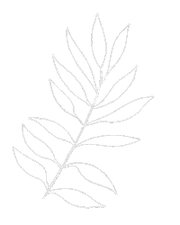 White Line Flower Sticker