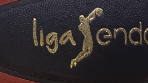 liga endesa basketball GIF by ACB
