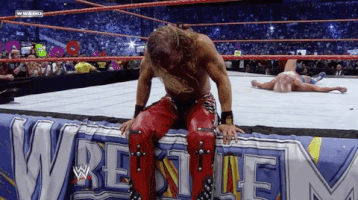 shawn michaels wrestling GIF by WWE