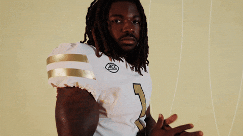 Georgia Tech Football Sport GIF by Georgia Tech Yellow Jackets