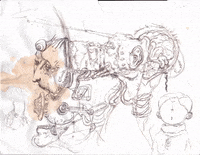 moving real-time GIF by Alex Boya