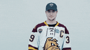ncaasports hockey college ncaa ice GIF