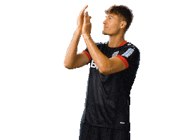 Bayer 04 Clapping Sticker by Bayer 04 Leverkusen
