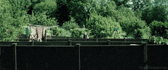 simon pegg film GIF by Head Like an Orange