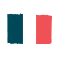 France Francais Sticker by LoveAndGreen
