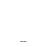 zforexglobal forex broker trader investor Sticker