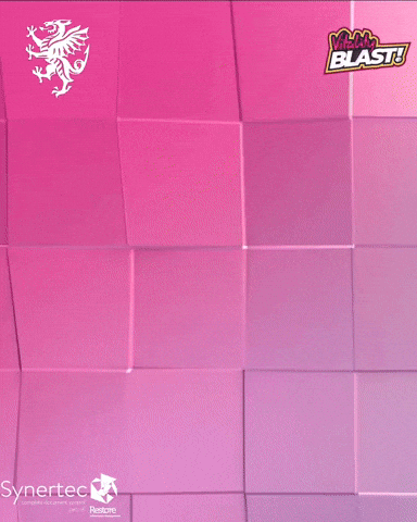 Youaresomerset GIF by Somerset County Cricket Club