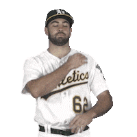 Regular Season Sport Sticker by MLB