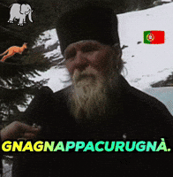 Elephants Never Forget GIF